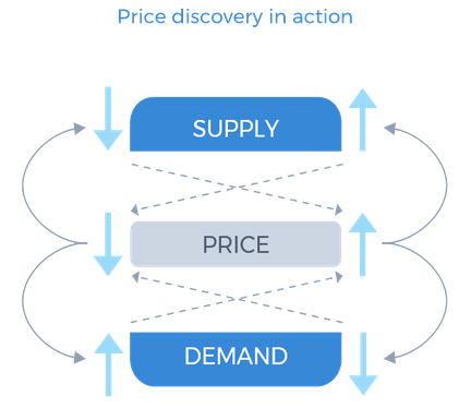 price_discovery_trans