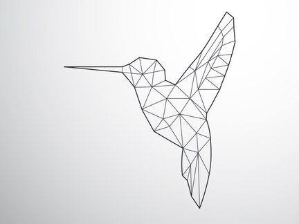 Hummingbird_web.jpg
